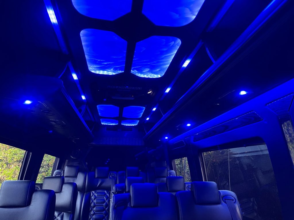 VIP Sprinter Interior Gretch