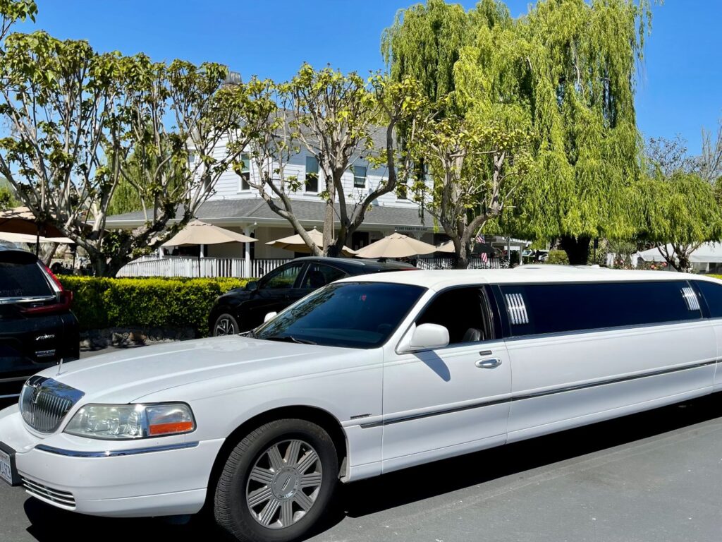 Stretch-Limo-in-Cline-Cellars (1)