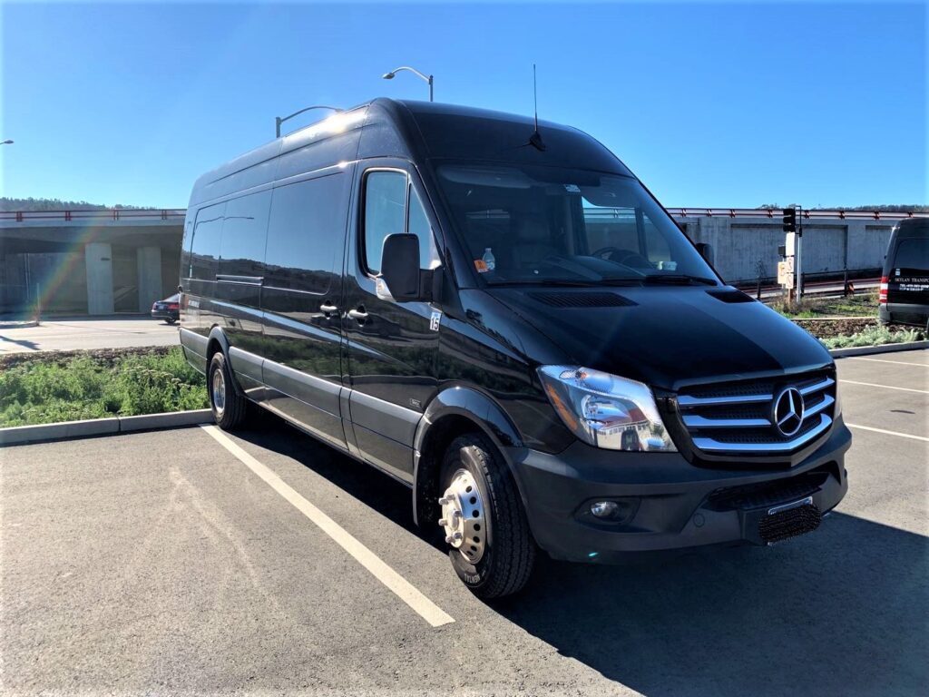 VIP Sprinter Gretch